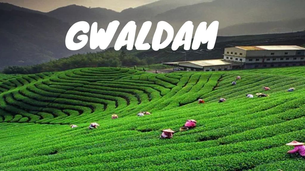 Gwaldam Uttarakhand