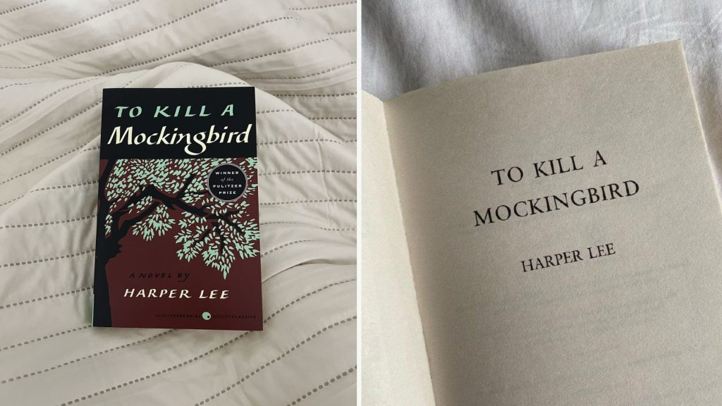 To Kill a Mockingbird – Harper Lee