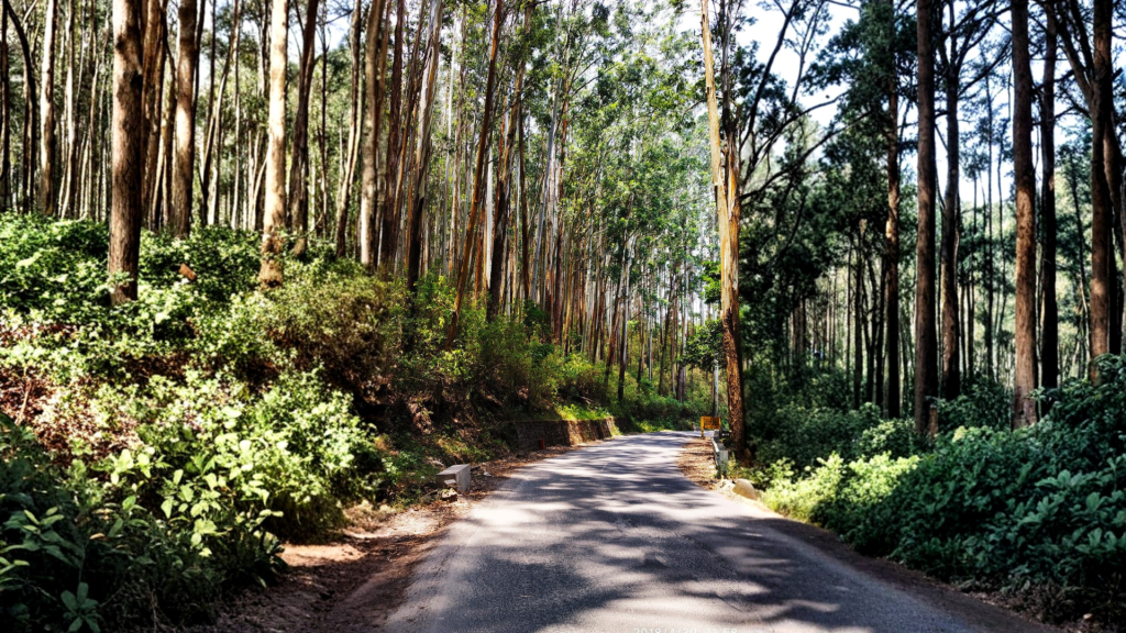 Planning road trip route on map