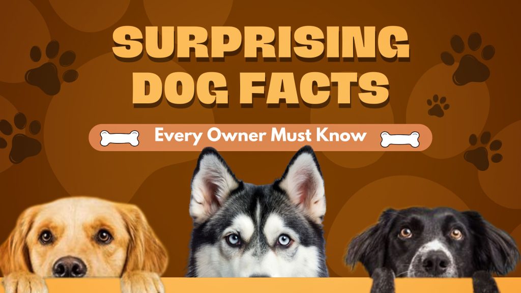 Surprising Dog Facts