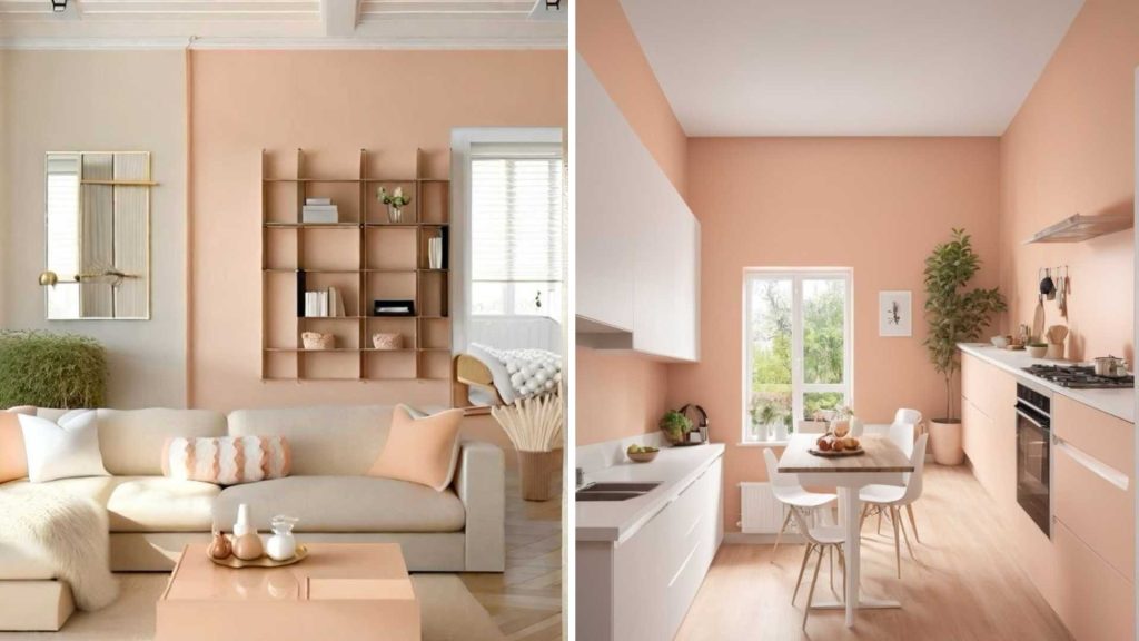 Peach and White Home Colour Combinations
