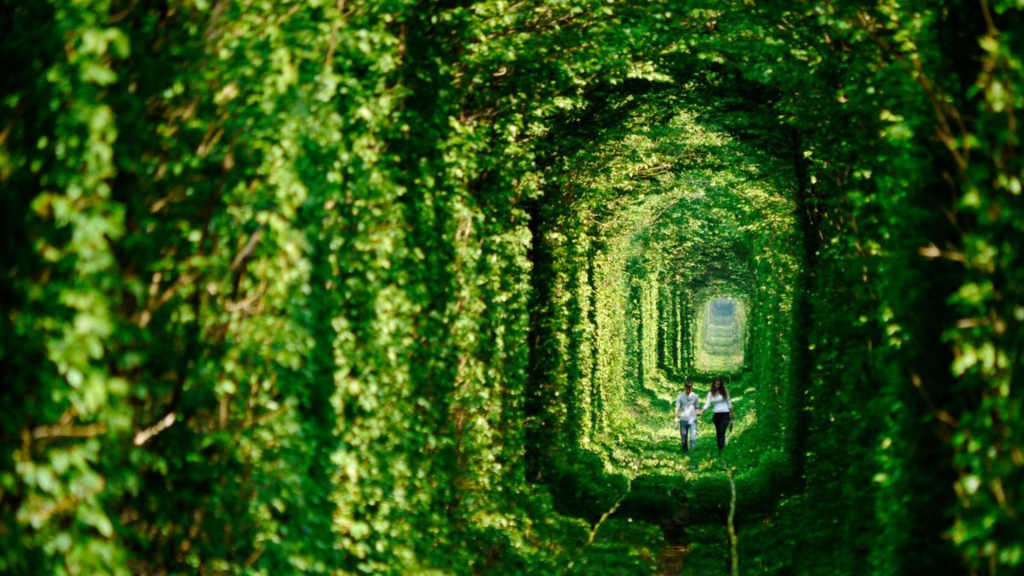Tunnel of Love