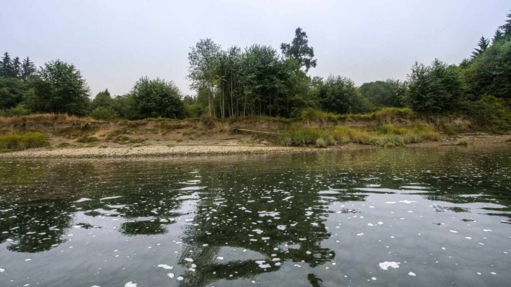 Agricultural Water Pollution