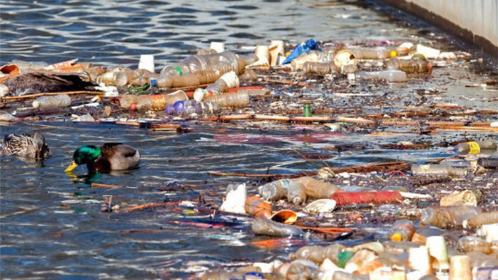 Urban runoff causing water pollution