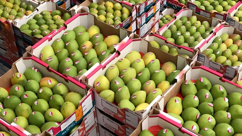 Mango Industry
