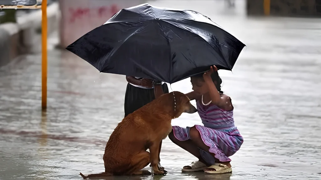 Girl sharing umbrella with stray dog