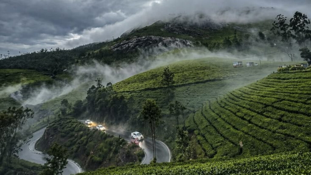 Munnar-Kerala