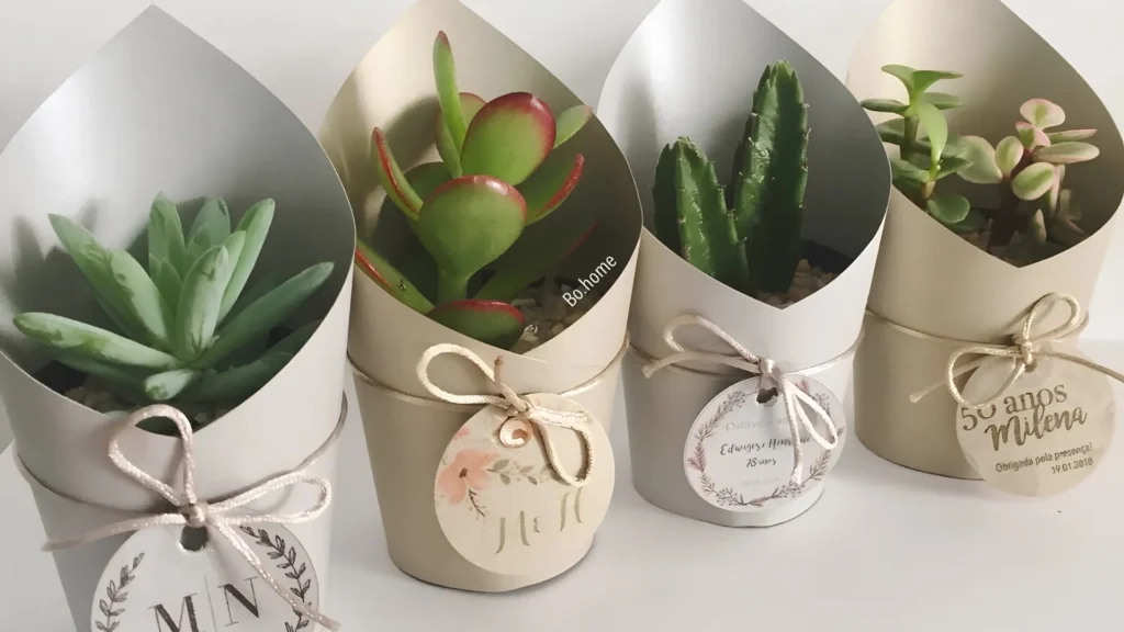 Plant Gifting for Rakhi