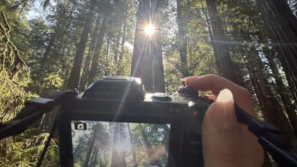 try to click a picture in solo date